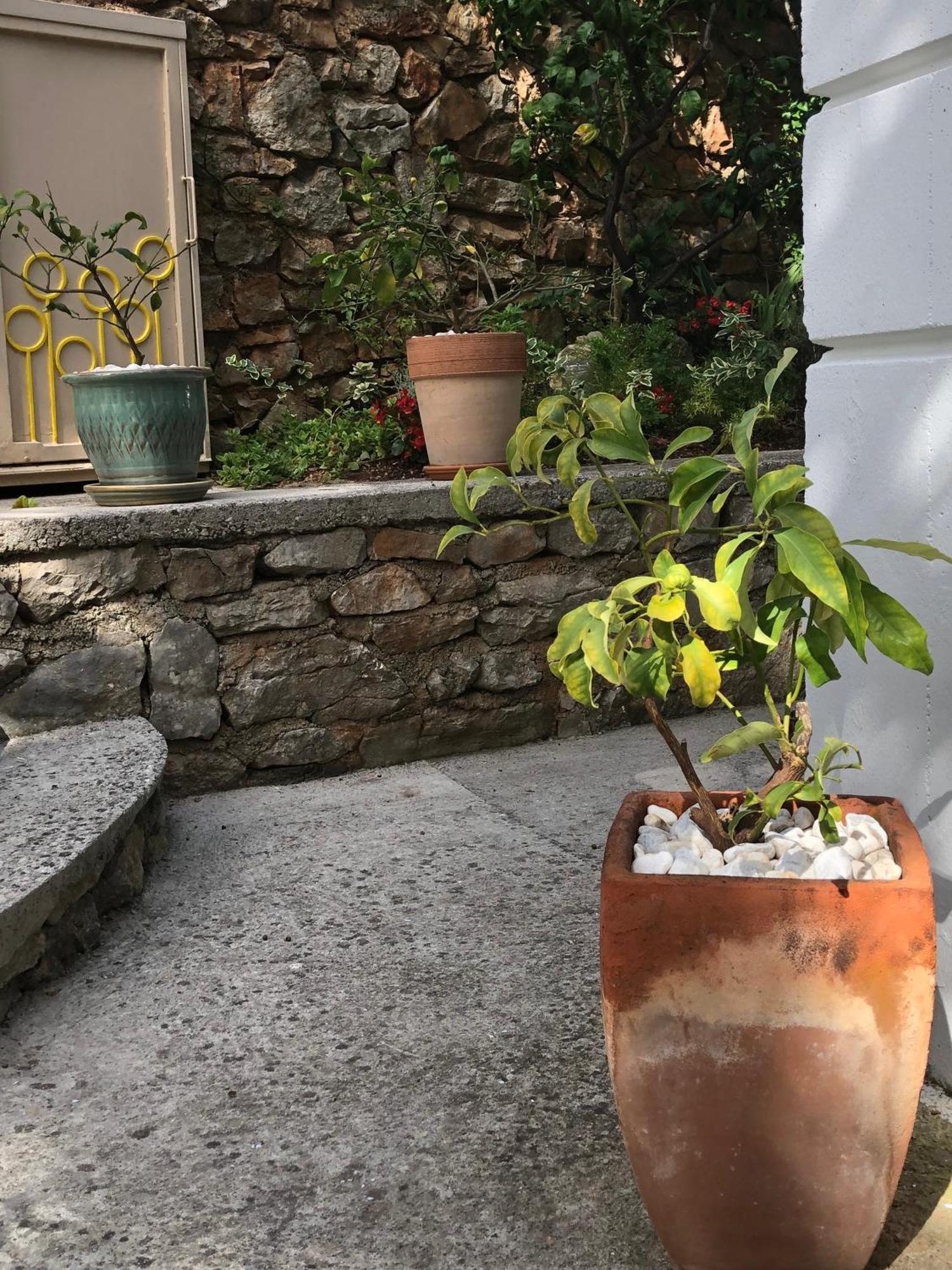 Apartments Veli Lošinj 外观 照片