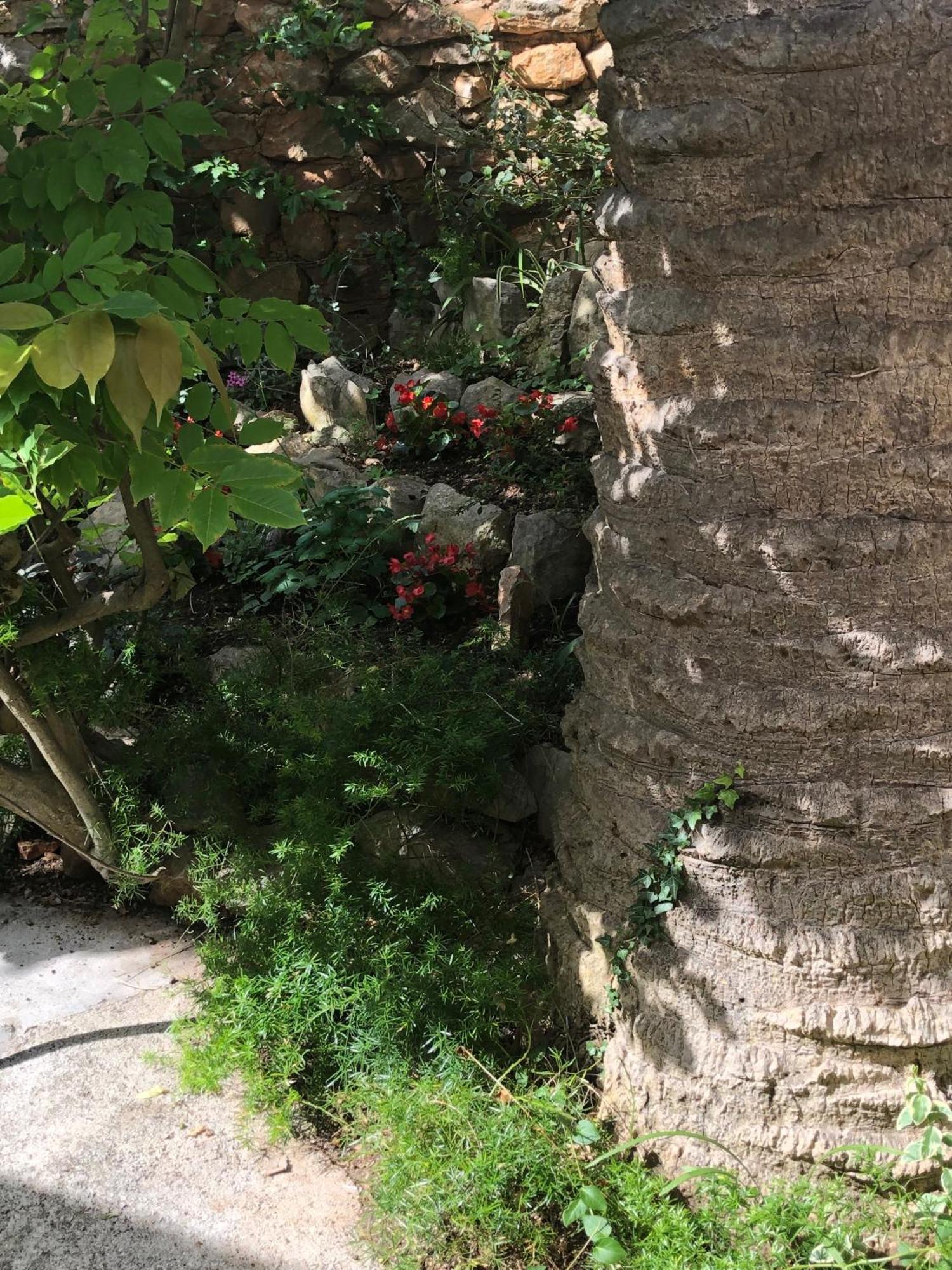Apartments Veli Lošinj 外观 照片