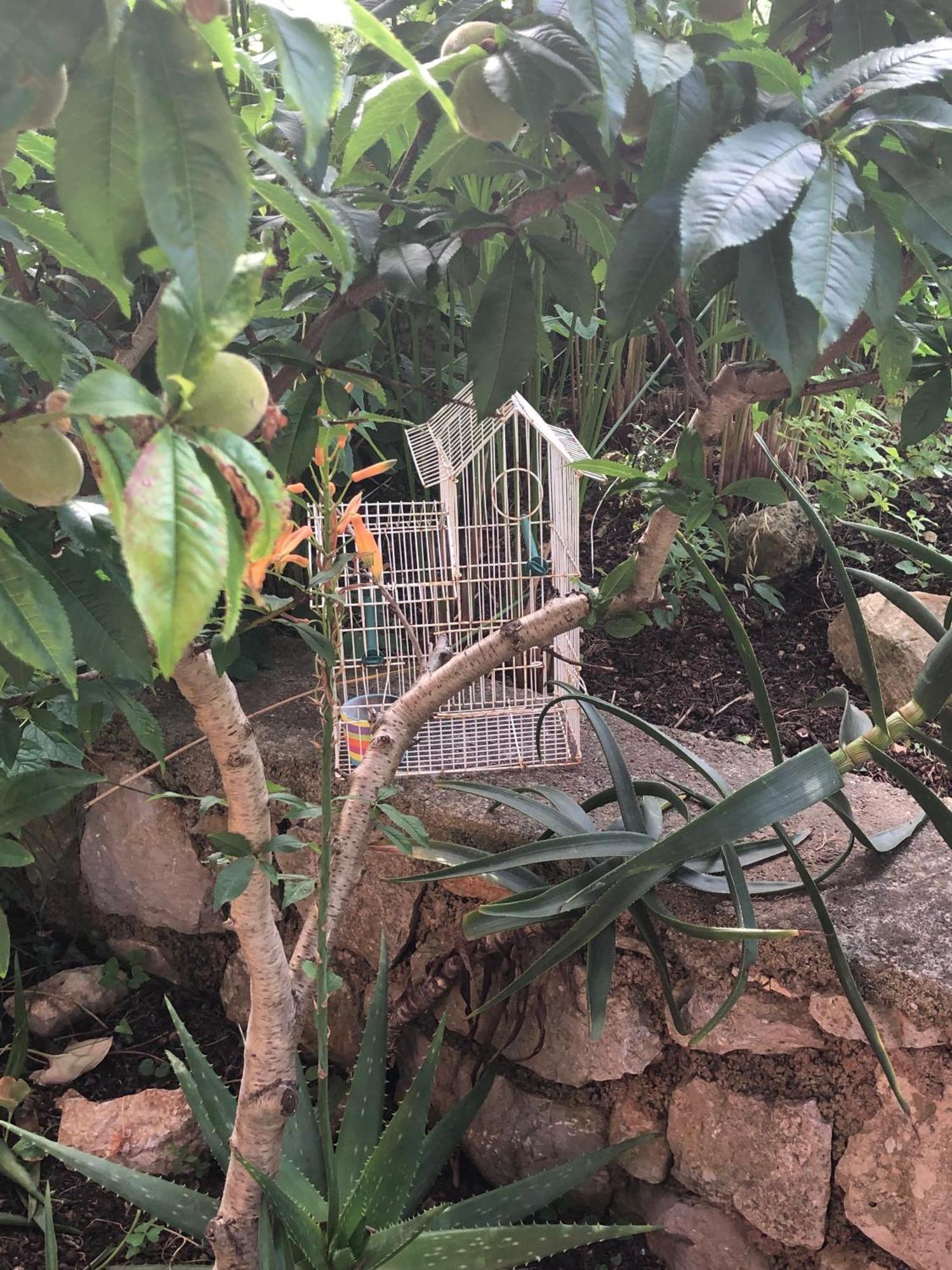 Apartments Veli Lošinj 外观 照片