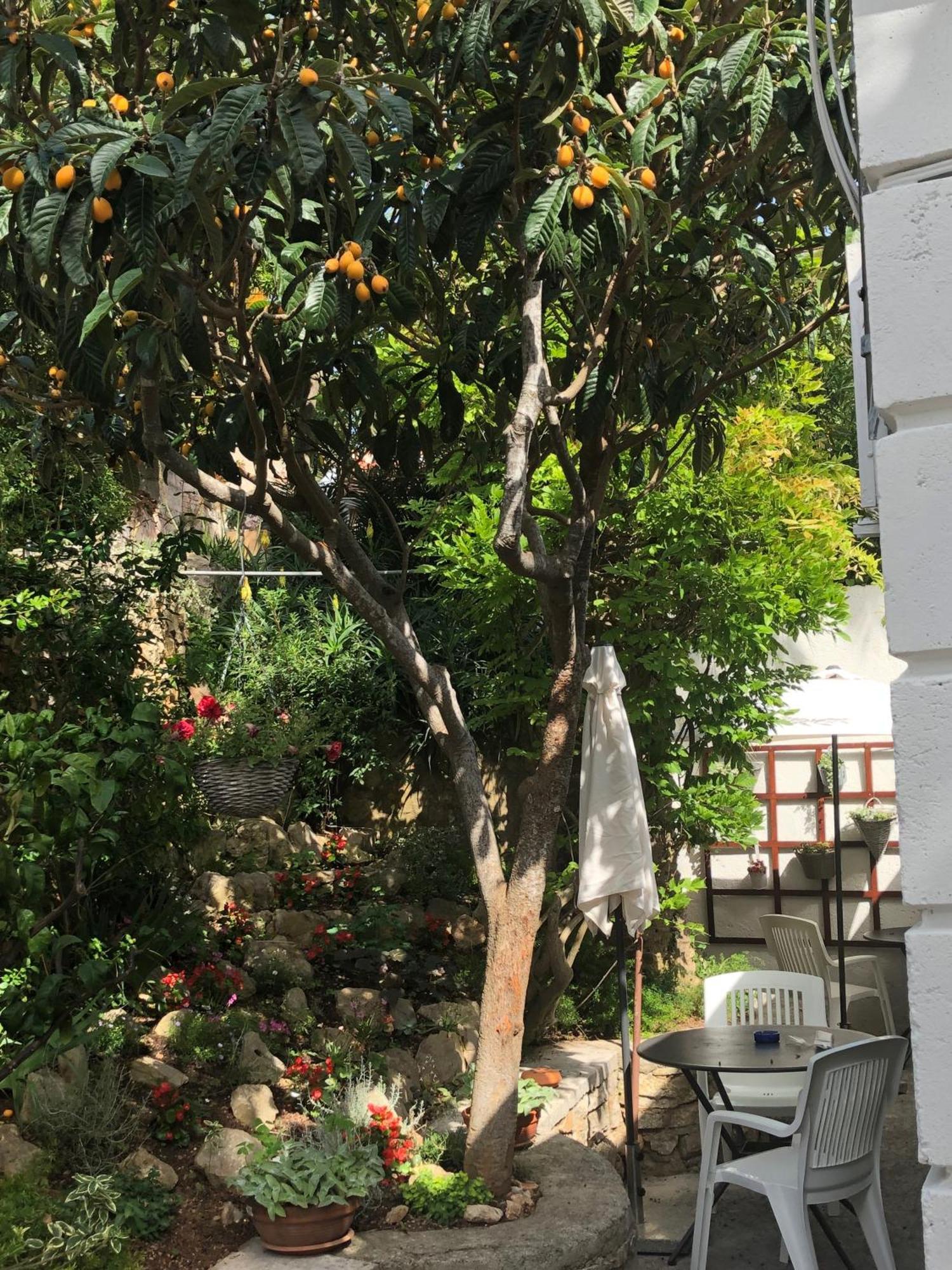 Apartments Veli Lošinj 外观 照片