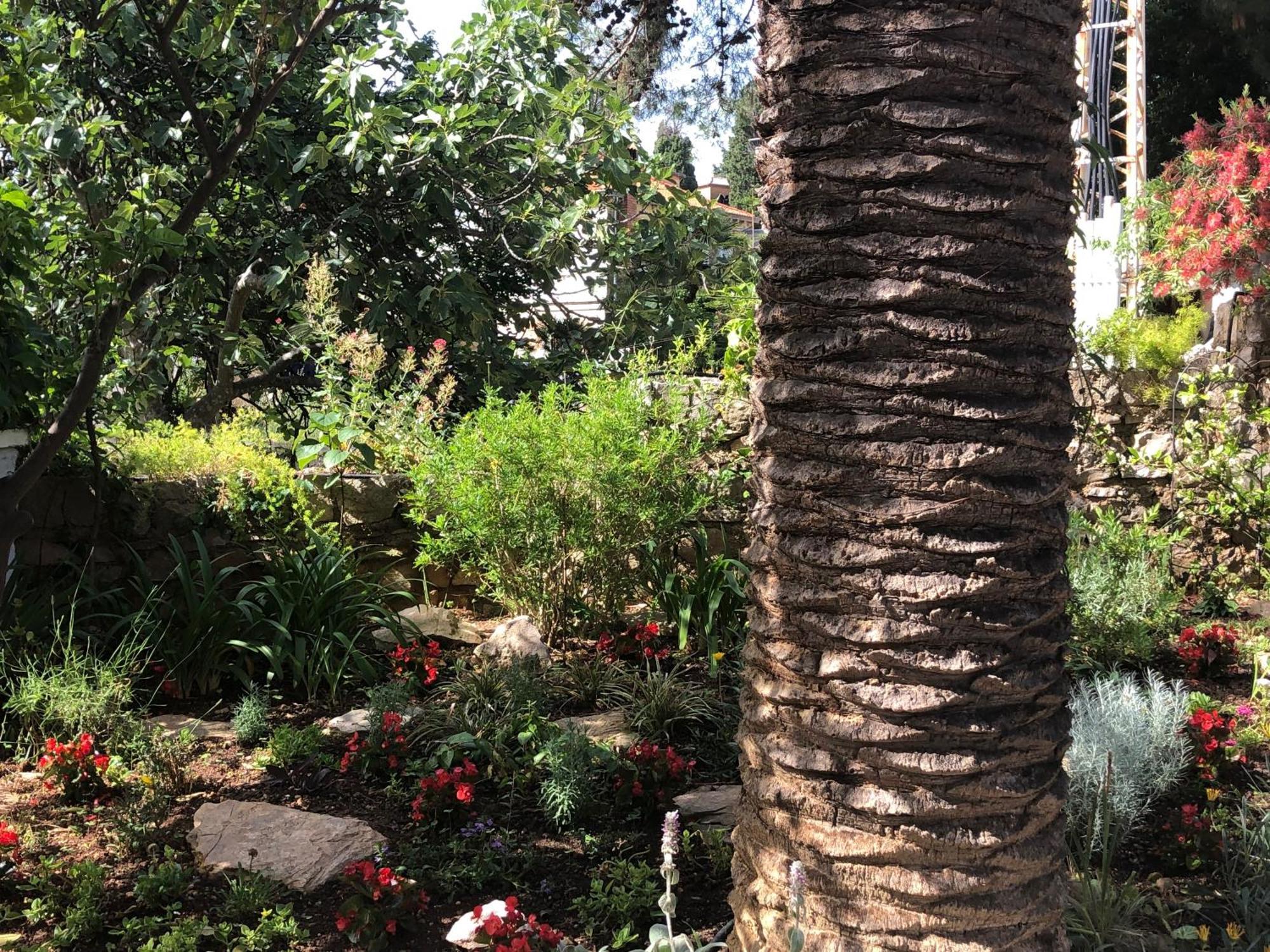 Apartments Veli Lošinj 外观 照片