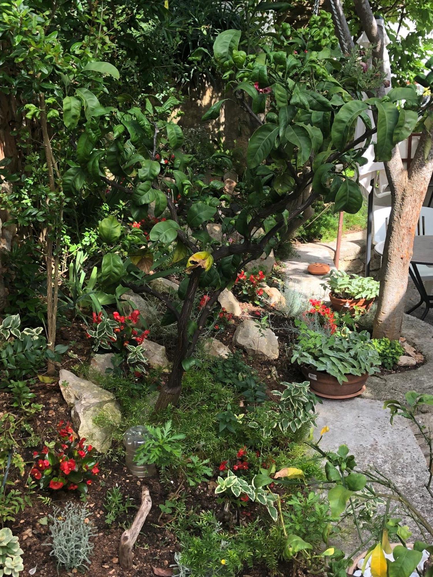 Apartments Veli Lošinj 外观 照片